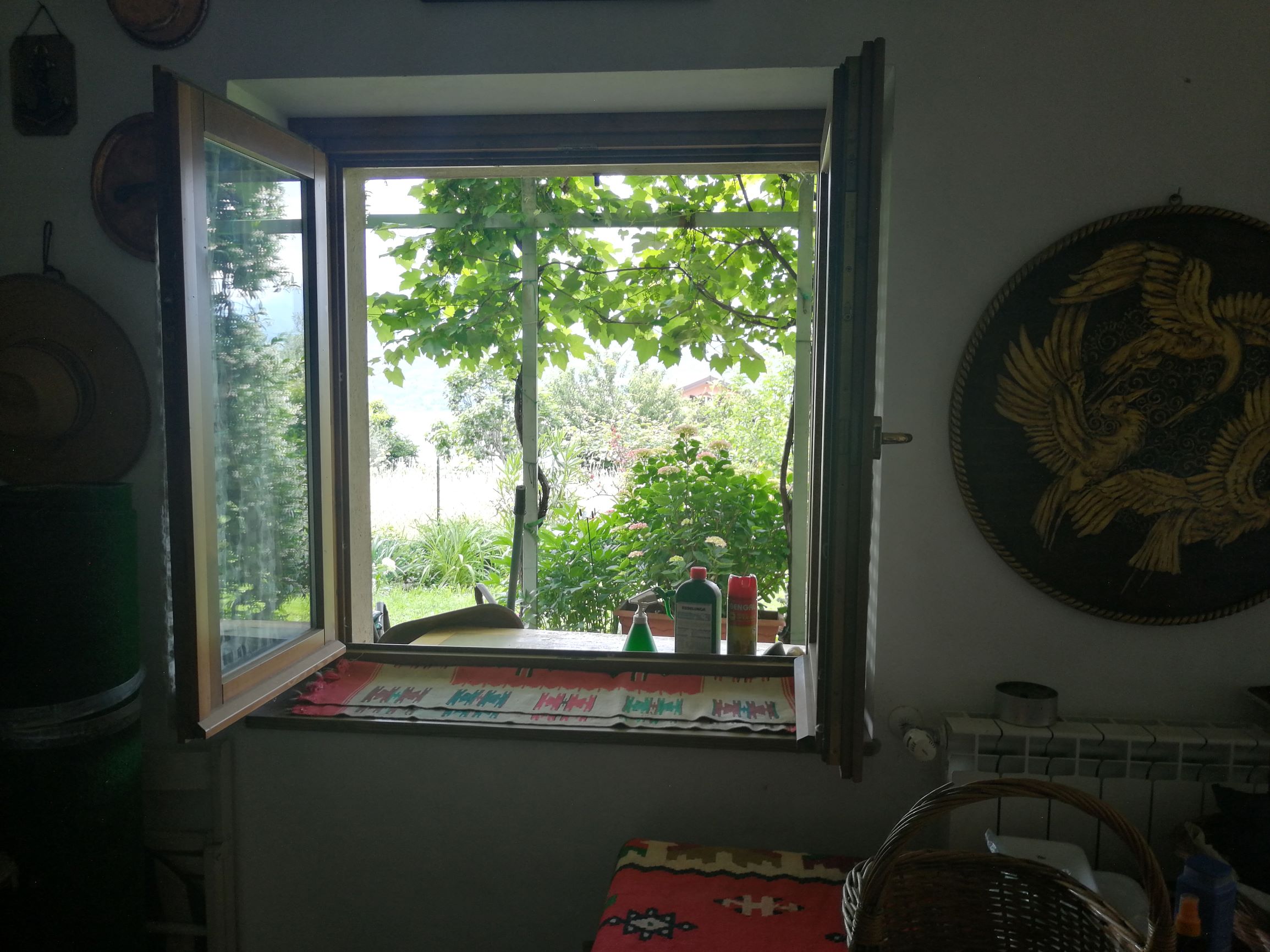 Foto27